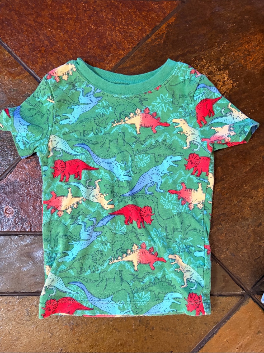Green Kids Dinosaur Print PJ set